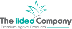 logo-iidea-1-300x122